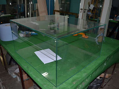 Gablota szklana ze szkła 8mm optiwhite, na zielonym tle nie widać różnicy między zwykłym szklem.